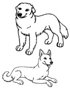 Kleurplaat Honden
