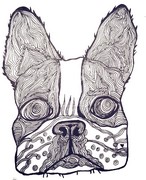Coloring page Dogs