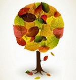 illustrations automne