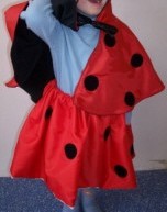 Coccinnelle