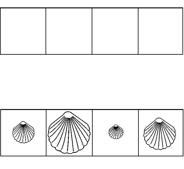 Coloring page Cut shells and glue of the smallest in the biggest