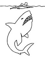 Coloriage Requin - Mister Banane