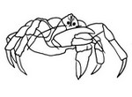 Coloriage Crabe