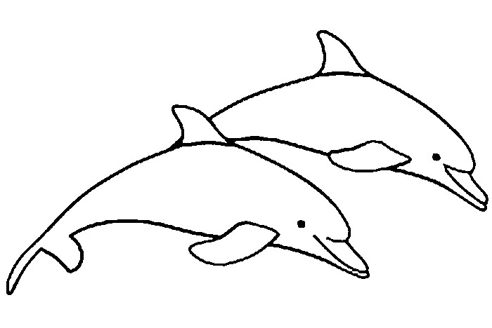 Coloriage Dauphins