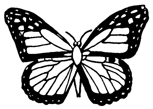 Disegno da colorare Farfalle