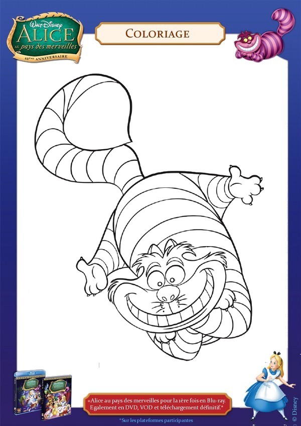 Coloriage Coloriage du chat ray