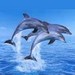 Delfines