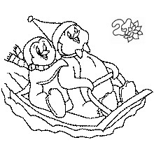 luge