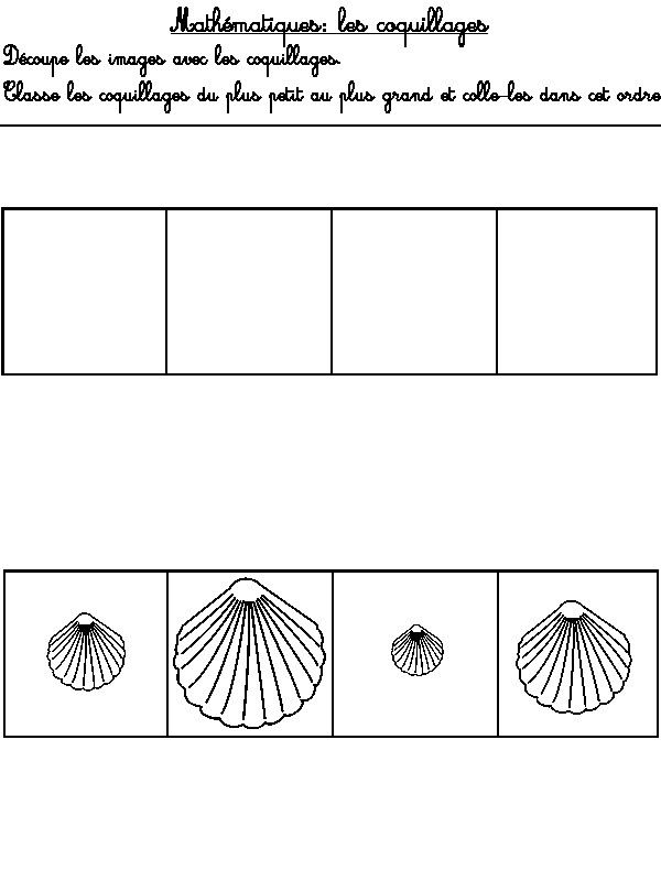 Classe les coquillages du plus petit au plus grand - Activites maternelle Ete