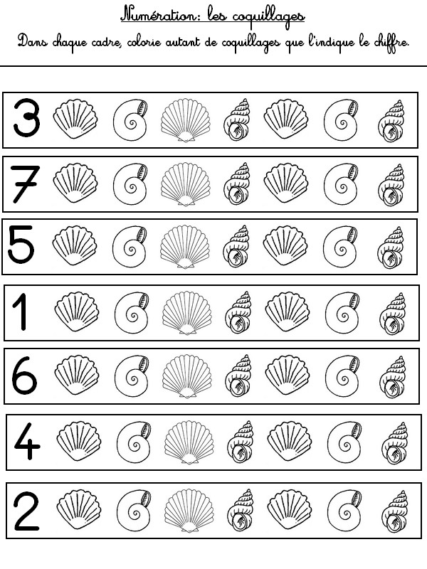 Numération 1 à 7 : coquillages - Activites maternelle Ete