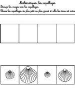Jeu Classe les coquillages du plus petit au plus grand