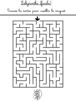 Jeu Labyrinthe (facile): retrouve la sortie pour cueillir le muguet